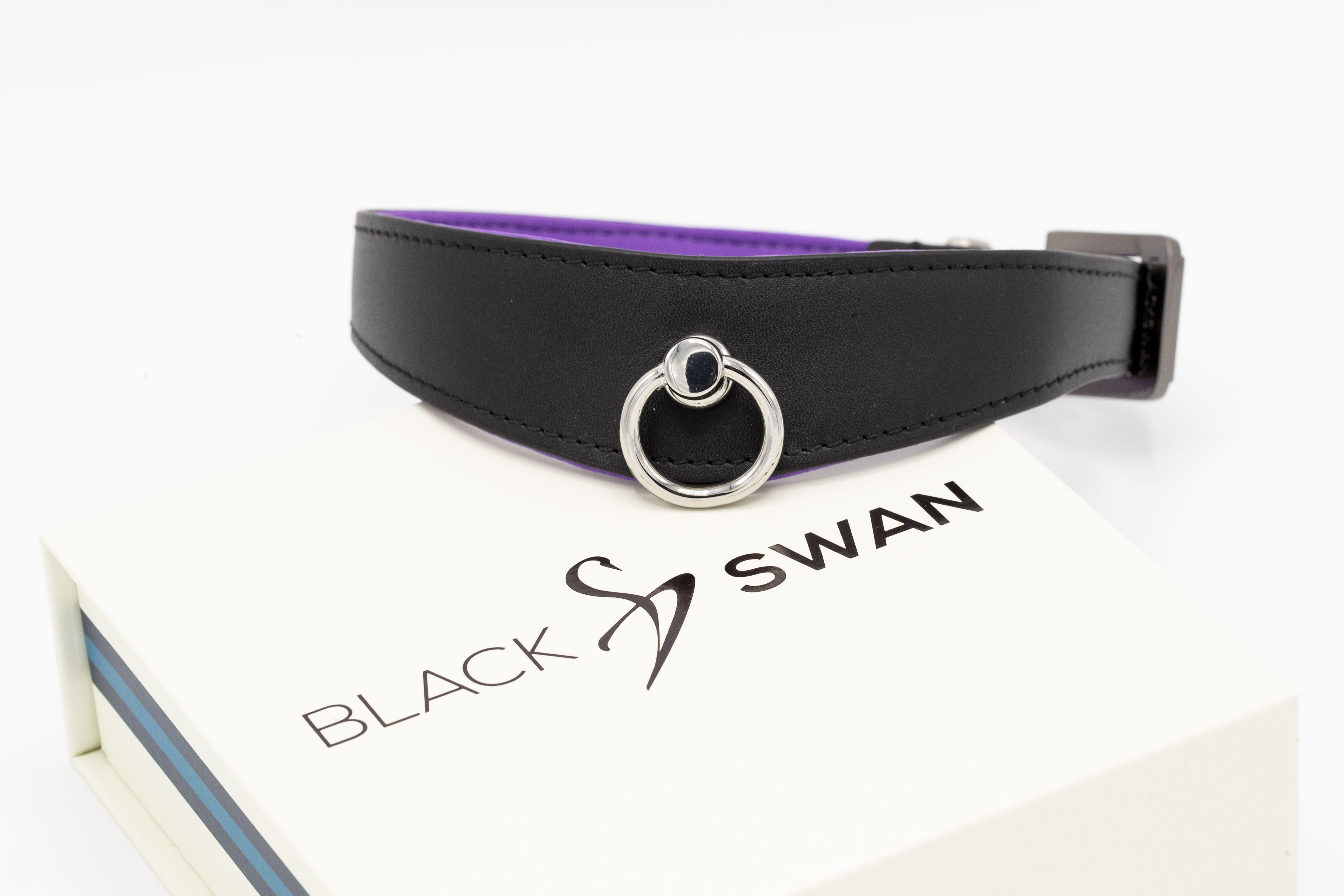 Black Swan COLLAR Black Purple